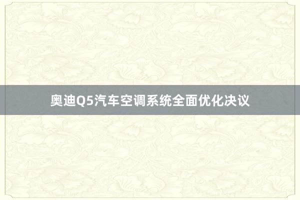 奥迪Q5汽车空调系统全面优化决议